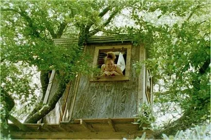 Treehouse - стари и нови идеи