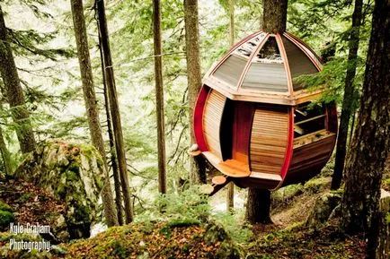 Tree House - 50 идеи, за да се превърнат в реалност