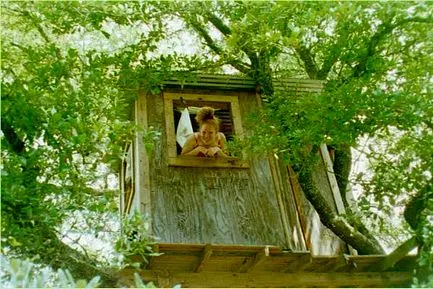 Tree House - 50 идеи, за да се превърнат в реалност