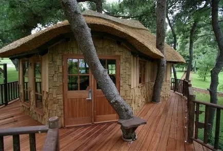 Treehouse - стари и нови идеи