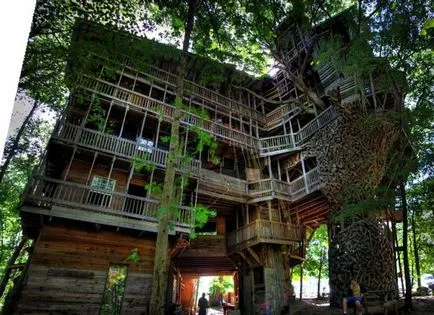 Tree къщи 252 снимка