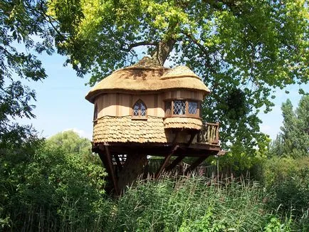 Tree къщи 252 снимка