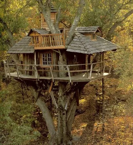 Treehouse - стари и нови идеи