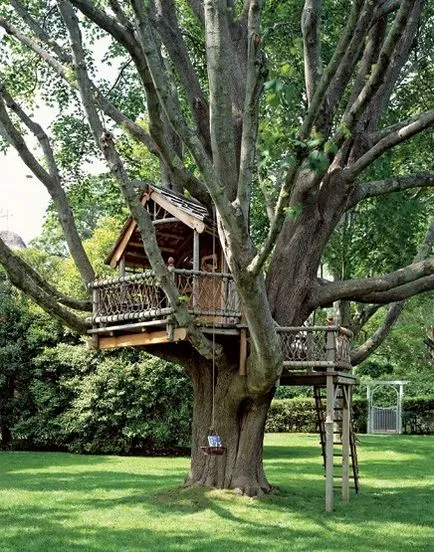 Tree House - 50 идеи, за да се превърнат в реалност