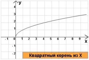 Mi a gyökere 2