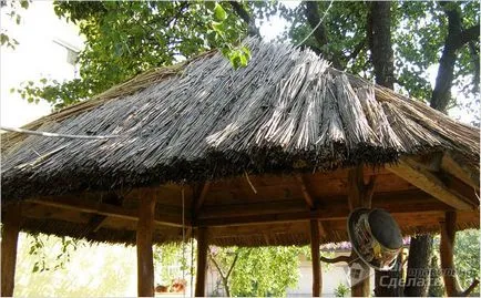 A fedett tető pavilon - a választás a tető (fotó) (pavilon) A fedett tető pavilon - a választás a tető (fotó)