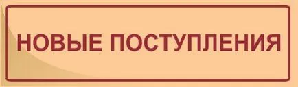 Ърнест Хемингуей - Старецът и морето - Челябинск Регионално Universal научна библиотека (Ърнест) Ърнест Хемингуей - Старецът и морето - Челябинск Регионално Universal научна библиотека