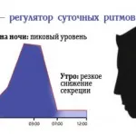 Хетеротрофни - мутуализъм, паразитизъм, автотрофните организми