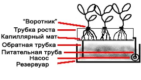Хидропоника свои ръце - различни методи - площадки, двор, градина, вила - парцел за напояване (сграда портал Москва) Хидропоника свои ръце - различни методи - площадки, двор, градина, вила - парцел за напояване