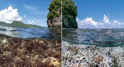 Глобалното изменение на климата се ускорява, maglipogoda