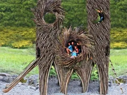 Nest за хората и за други невероятни дървесни къщи