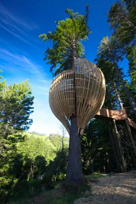 Nest за хората и за други невероятни дървесни къщи