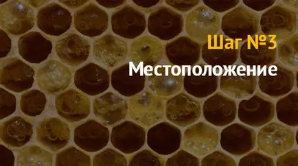 бизнес идея как да се отвори с производството и продажбата на мед