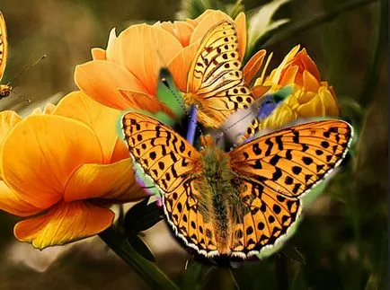 С помощта на печат в Photoshop, полезни техники за обработка на неподвижни изображения