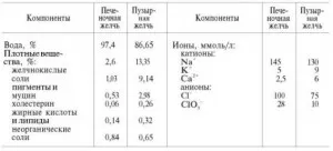 Mi teszi az epe, az egészségügyi nanotechnológia helyreállítási gyógyszerek nélkül (epe) Mi teszi az epe, az egészségügyi nanotechnológia hasznosítás nélkül gyógyszerek
