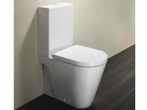 Mi a teendő, ha a WC-párja (fénykép, videó) (do) Mi a teendő, ha a WC-párja (fénykép, videó)