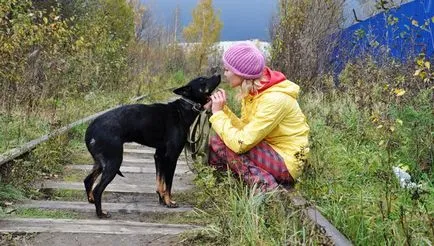 Mi a teendő, ha egyedül, hogyan kell kezelni a magány tudja, mi a teendő, ha egyedül
