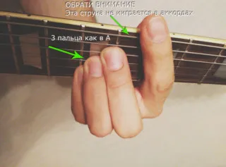 Как бързо да се научат акорди, guitarchik