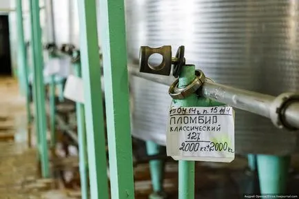 Как да си направим сладолед