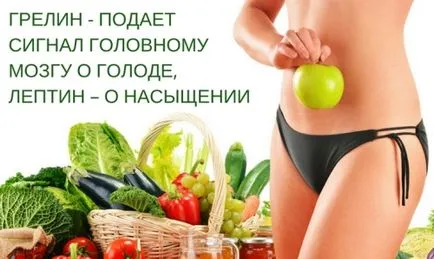 Как хормоните влияят на загуба на тегло - здраве и красота