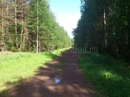 Как да търсите и да намерят съкровището