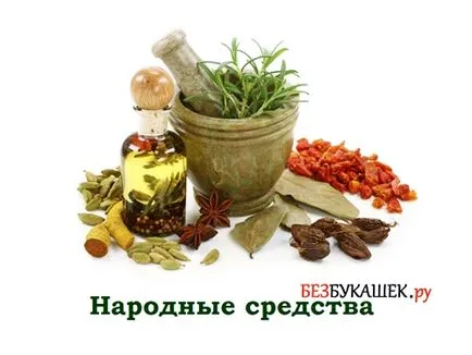 Как да се отървем от мухи в извън тоалетната