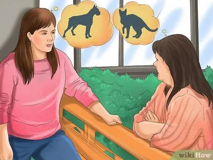 Как за лечение на една котка, ако ухапан от куче