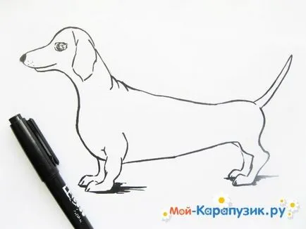 Как да се направи дакел моливи етапи () Как да се направи такса молив в етапа