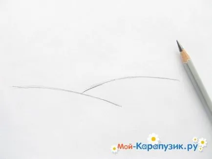 Как да се направи стъпка молив пейзаж по стъпка за начинаещи