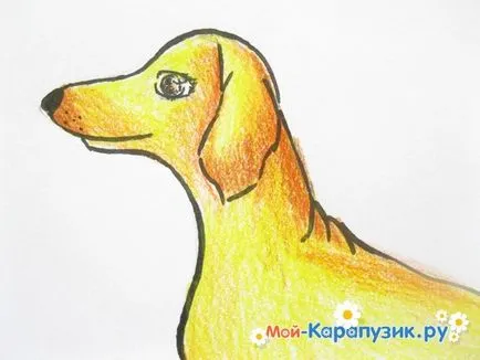 Как да се направи дакел моливи етапи () Как да се направи такса молив в етапа