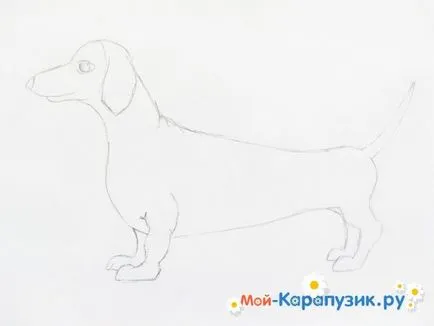 Как да се направи дакел моливи етапи () Как да се направи такса молив в етапа