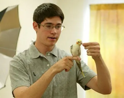 Как да научим папагала да говори съвети собственик Cockatiel