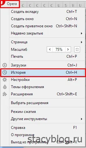 Как да изчистите историята на браузъра Opera (опера)