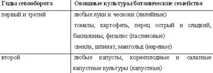 Как да изчистите градината на зеле clubroot, портал основната земеделска - всичко за бизнеса на селското стопанство