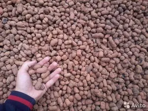 Mi ez KERAMZIT alapvető tulajdonságait és jellemzőit, a termelés és az alkalmazások az anyag (duzzasztott agyag olyan tulajdonság) Mi ez KERAMZIT alapvető tulajdonságait és jellemzőit a termelés és az alkalmazás az anyag