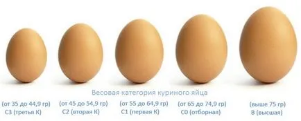 Как да се определи възрастта на пилето - пилета разликите във възрастта (да се определи възрастта на кокошката) Как да се определи възрастта на пилето - пилета различия във възрастовата