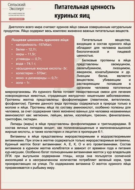 Как да се определи възрастта на пилето - пилета разликите във възрастта (по-старите екземпляри) Как да се определи възрастта на пилето - пилета различия във възрастовата