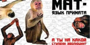 Как да спрете кълна момиче