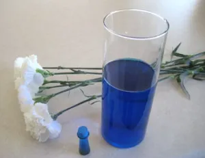 Как да рисува цветя, за