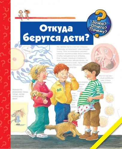 Как да обясним на детето къде идват бебетата (където) Как да обясним на детето къде идват бебетата