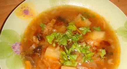 Как да се готви супа от зеле с прясно зеле рецепти със снимки (Cook) Как да се готви супа от зеле с прясно зеле рецепти със снимки
