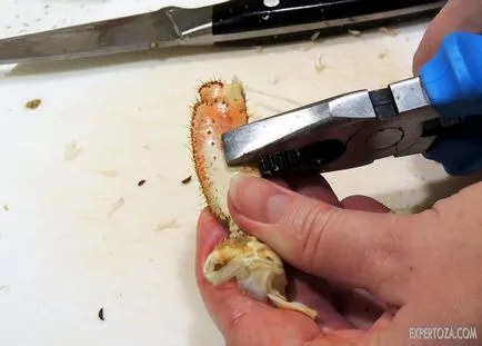 Как да се готви на раци, expertoza