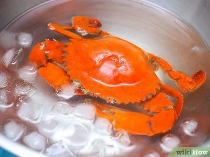 Как да се готви раци