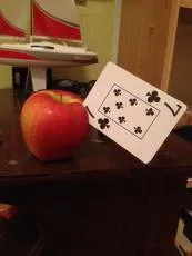 Mi történik, ha elkezdi elmondani az embereknek az igazságot