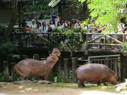 Amit látni Pattaya