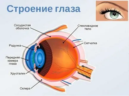 Mi a retina angiopathy okok és a tünetek, a kezelés és a megelőzés a patológiás