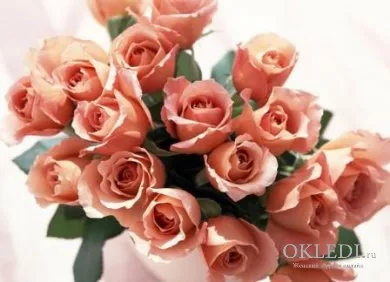 Как да се съживи Rose
