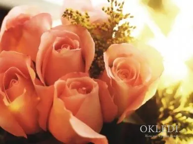 Как да се съживи Rose