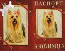 Как документите на кучето
