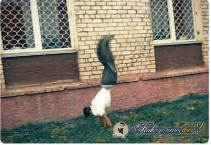 Как да направите видео движение